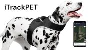 Pocket Dog Collar with GPS Mini Tracking Tool for Live Pet Monitoring Size:L